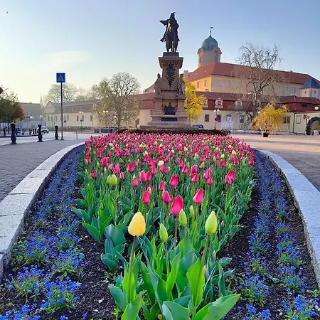 Ubytování v soukromí Homestay Poděbrady