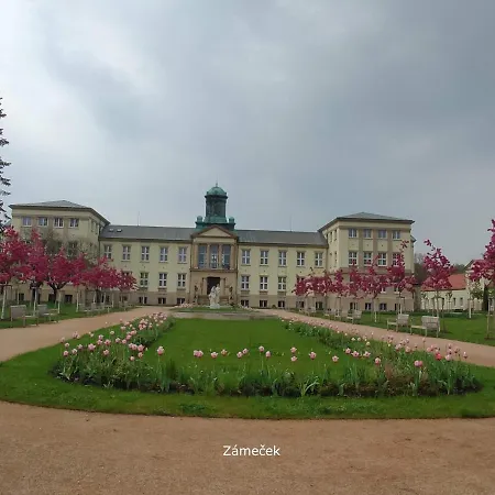 Homestay Podebrady * Подебрады