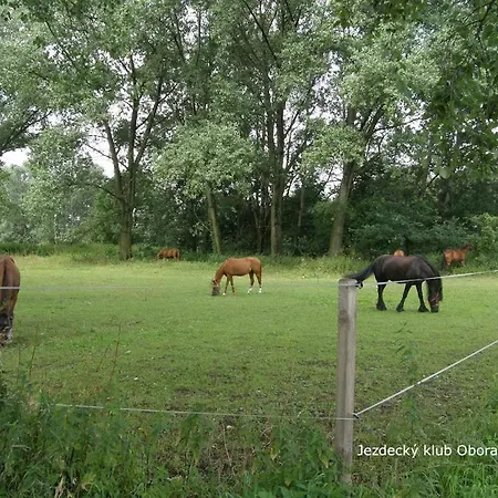 Ubytování v soukromí Homestay Poděbrady *