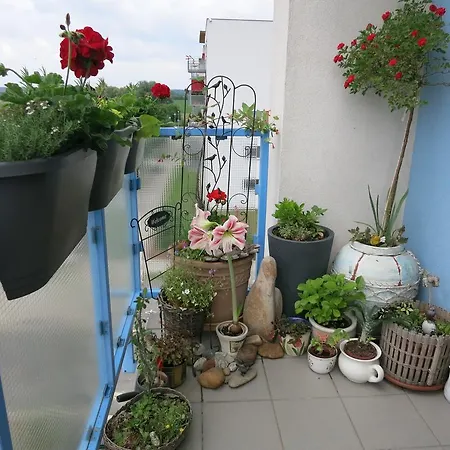 Проживание в семье Homestay Podebrady *