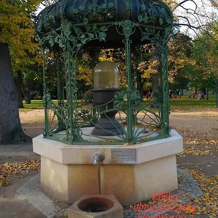 Homestay Poděbrady *