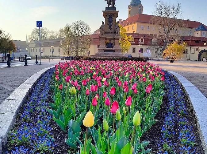Homestay Homestay Podebrady