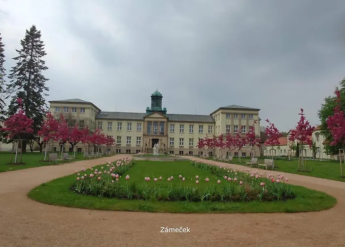 Homestay Podebrady * Poděbrady