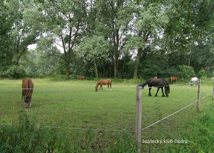 Privat bolig Homestay Podebrady *
