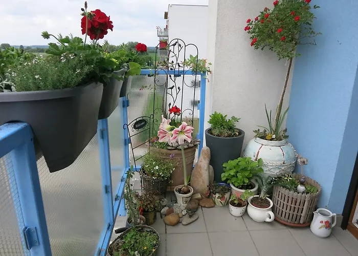 Privat bolig Homestay Podebrady *